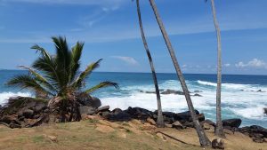 Surf Bar Chill Polhena